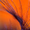 Sophie Thouvenin _ Un ange passe