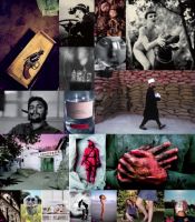 Le Parcours parisien de la Photographie 2007