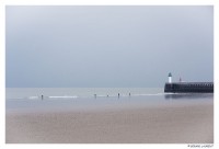 Calais - les ramasseurs de vers