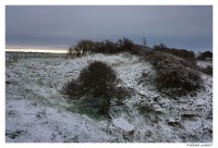 Vers le Cap Gris Nez