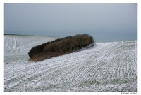 Vers le Cap Gris Nez