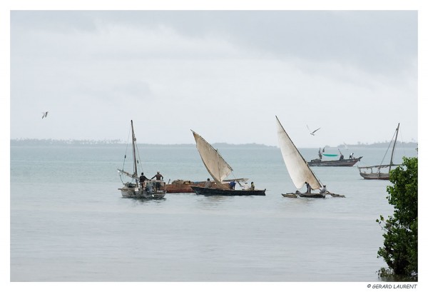 Zanzibar - boutres - le départ