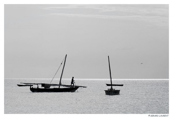 Zanzibar - Nungwy - boutres à l'ancre