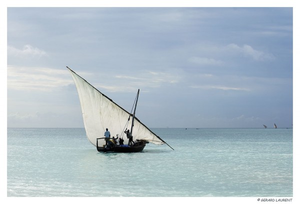 Zanzibar - Nungwy - boutre - hisse et haut la voile arabe