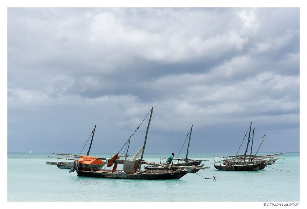 Zanzibar - Nungwy - boutres à l'ancre