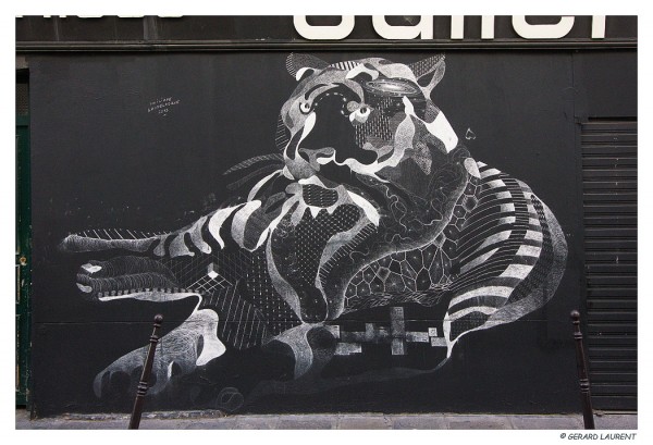 Tigre à la craie rue Charlot de Philippe baudeloque