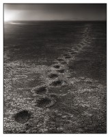 Elephant Footprints, Amboseli 2012