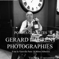 Gérard LAURENT : Portes Ouvertes Galerie la Panse de l’Ours du vendredi 15 au dimanche 17 novembre 2013
