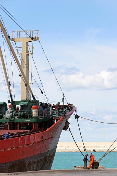 Monopoli
