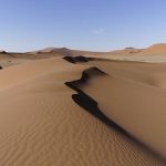 Today’s picture : le désert du Nambib