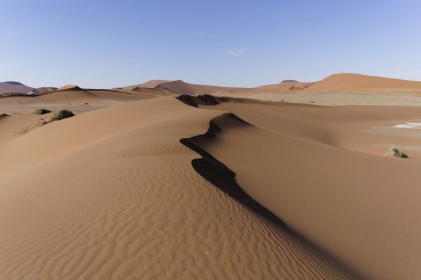 Le desert du Namib #1 - 2017