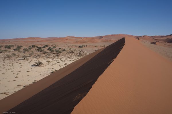 Le desert du Namib #2 - 2017