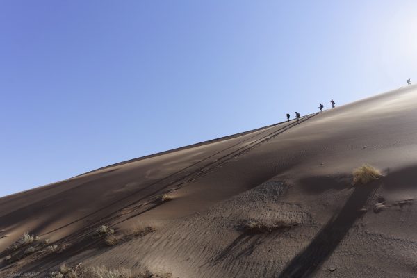 Le desert du Namib #3 - 2017