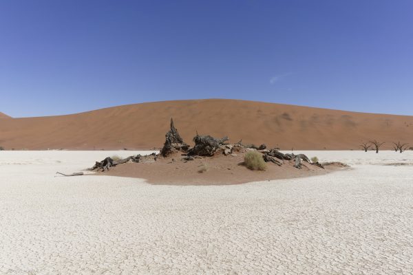 Le desert du Namib #4 - 2017