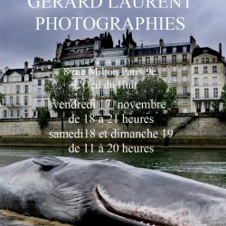   Gérard LAURENT PHOTOGRAPHIES : Portes Ouvertes à L’Oeil du Huit du vendredi 17 au dimanche 19 novembre 2017