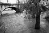 Today’s Picture : La Seine en crue au Pont Royal