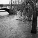 Today’s Picture : La Seine en crue au Pont Royal