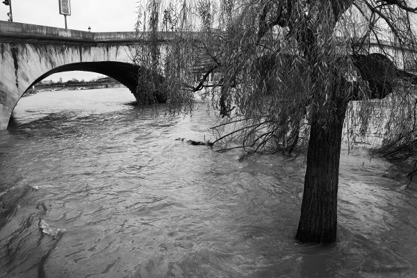La Seine en crue au Pont Royal