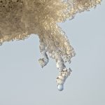 Today’s picture : Tout va à vau-l’eau