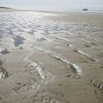 Today’s Picture : Côte d’Opale