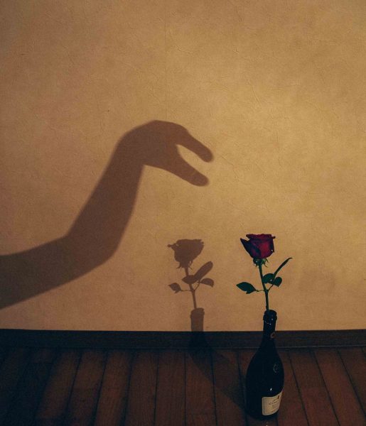 Shadow puppet #013 – 2016