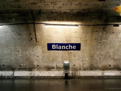 Today’s picture : Blanche, Blanche… As-tu vu le Coronavirus?