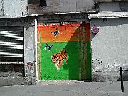 Dix-huitième arrondissement - tigre et papillons