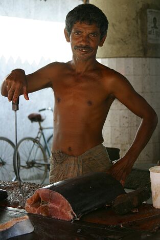 Sri Lanka : la pêche