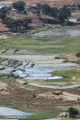 Madagascar sur la route d'Isalo