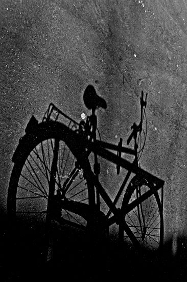 Ombre cyclopédique