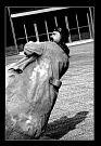 Paris 2003  un homme renversant (3 of 4)