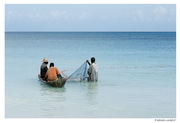 Zanzibar - Nungwy - Pêche au filet près de la plage