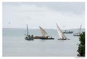 Zanzibar - boutres - le départ