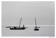 Zanzibar - Nungwy - boutres à l'ancre