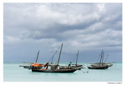 Zanzibar - Nungwy - boutres à l'ancre