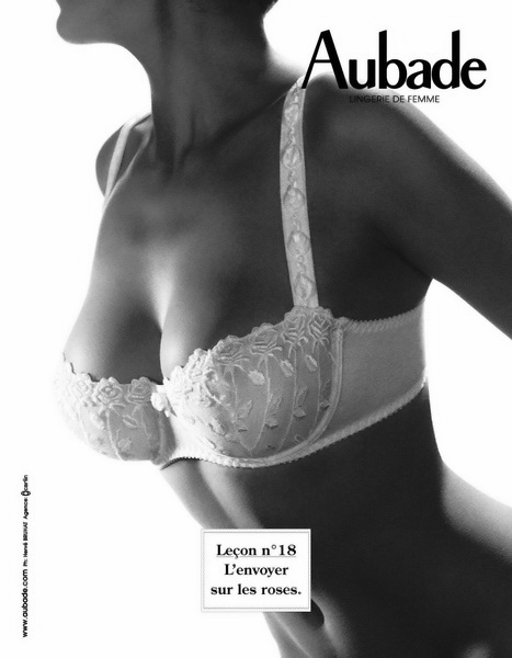 Aubade - leçons de séduction 18 - L'envoyer sur les roses