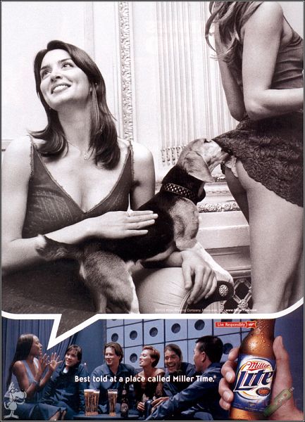 Miller lite et le chien fouineur