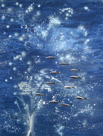 Jérôme Mesnager - 11 poissons - acrylique sur toile 130 x 97