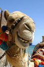 oui, c'est bien moi, je pose aussi sur les paquets de Camel...